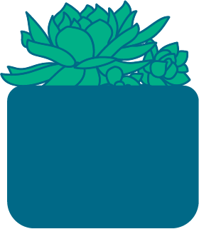 illustration of succulent